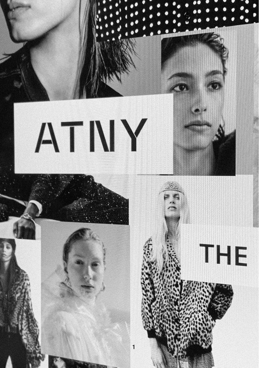 ATNY Brand Identity 2
